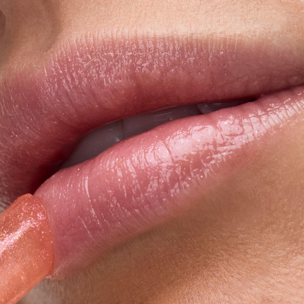V2H02132EF42BDC422BD230DF15B71E29C6R7718779P5