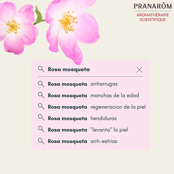 V7H3DE527E1D7BB649841ACCF001054B4BDR7731006P2