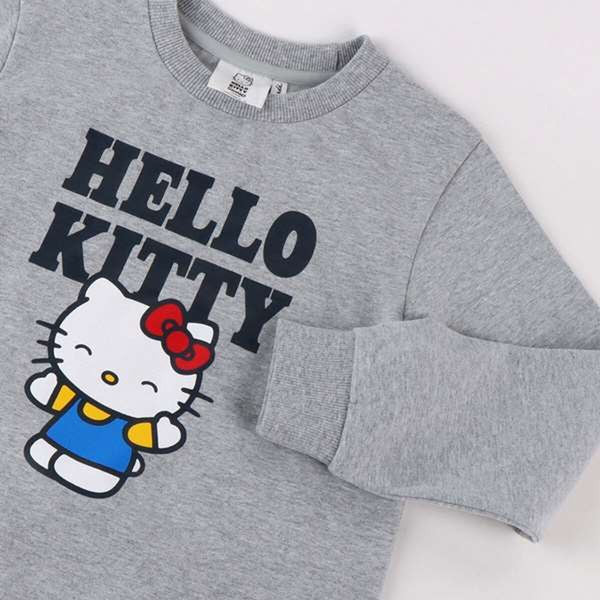 V4H15FC91BA0F27DD904340969A6FA97EB3R7437243P3